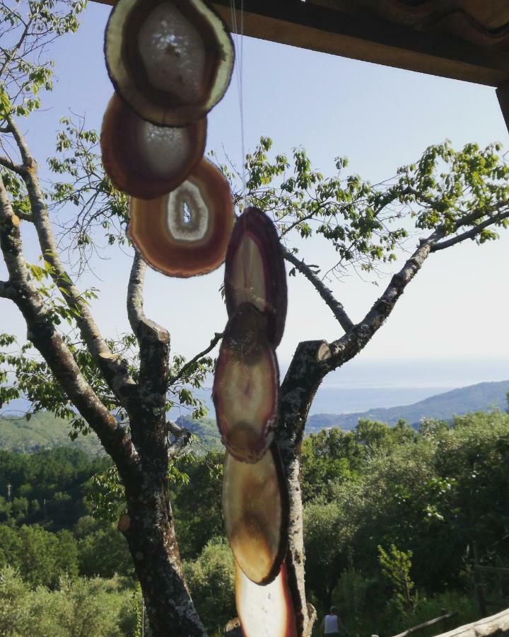 TortorellaMasseria Cata Catascia住宿加早餐旅馆 外观 照片